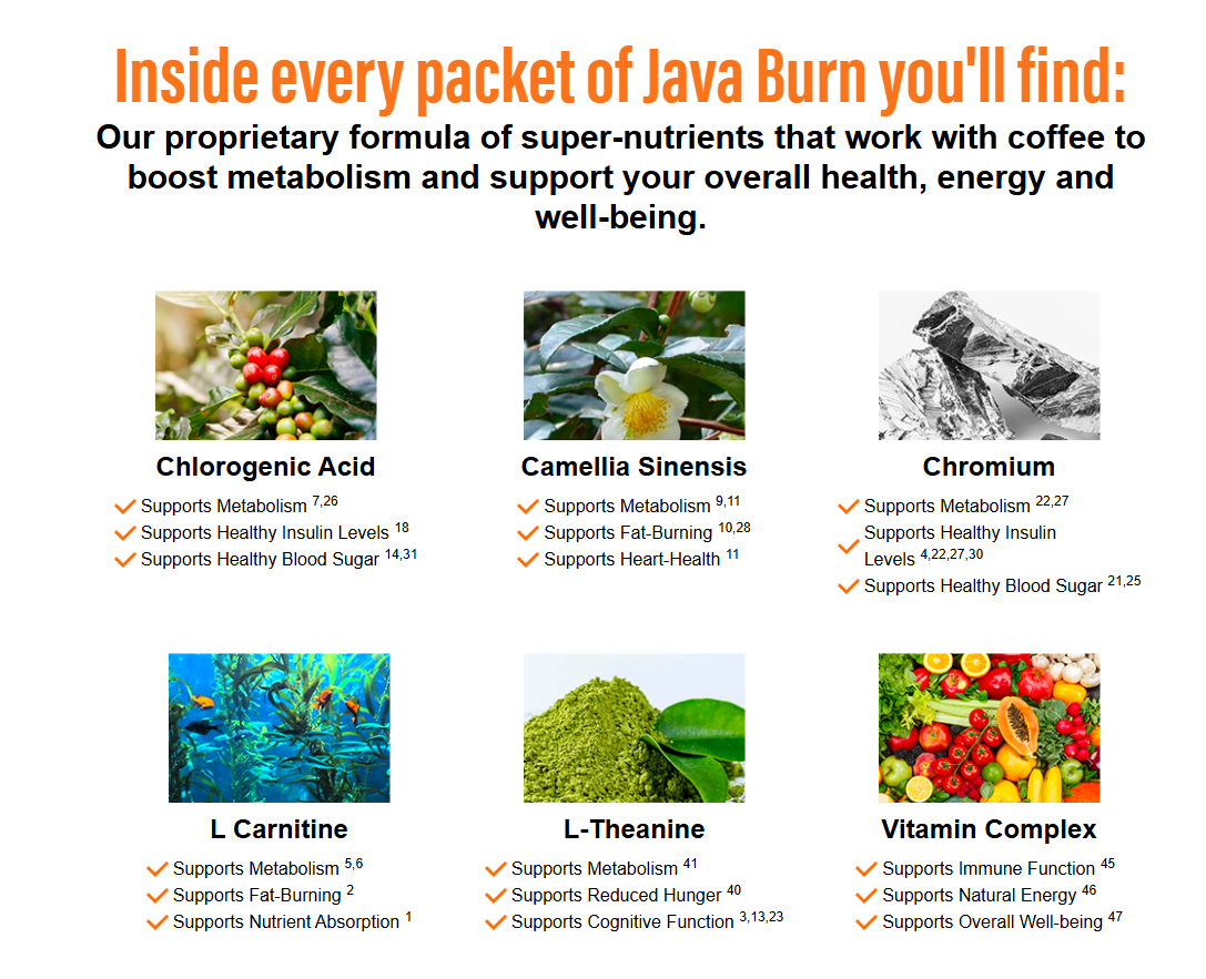 Java Burn