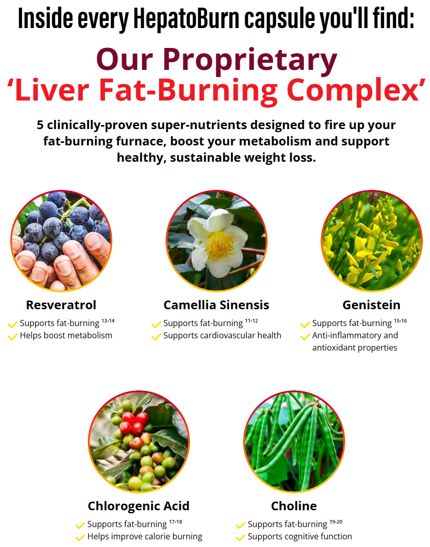 HepatoBurn Capsules