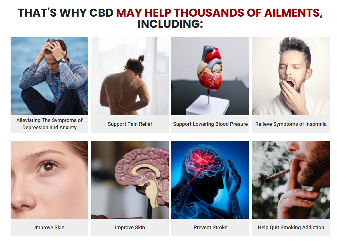 ActivPure CBD Gummies