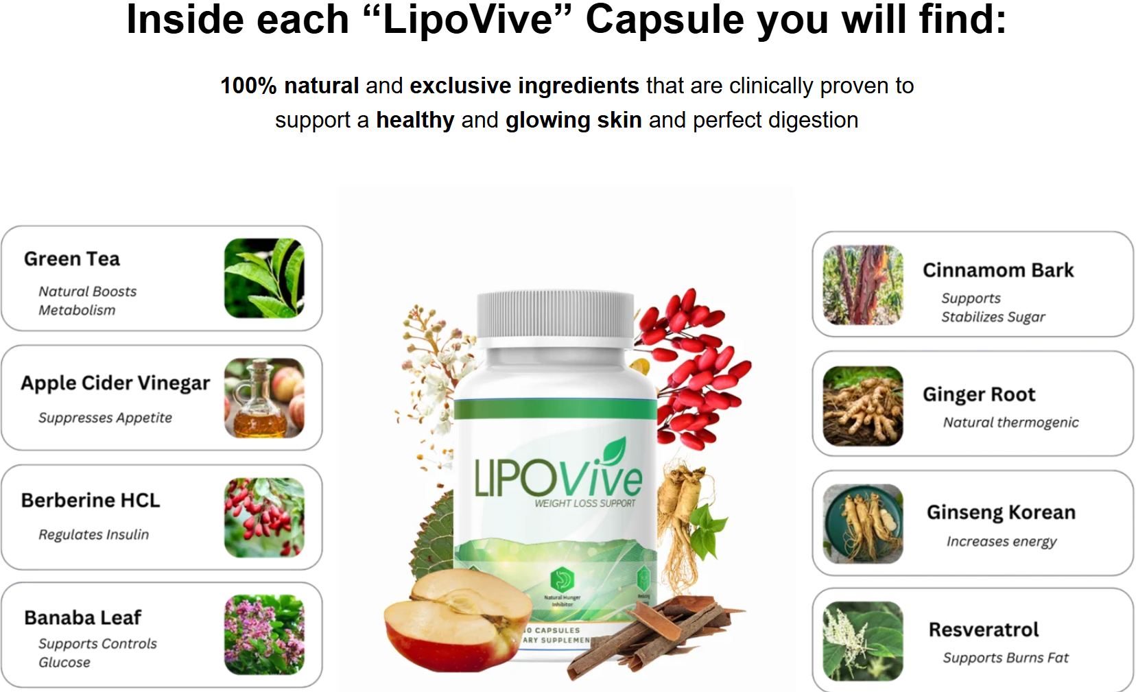 Lipovive Australia