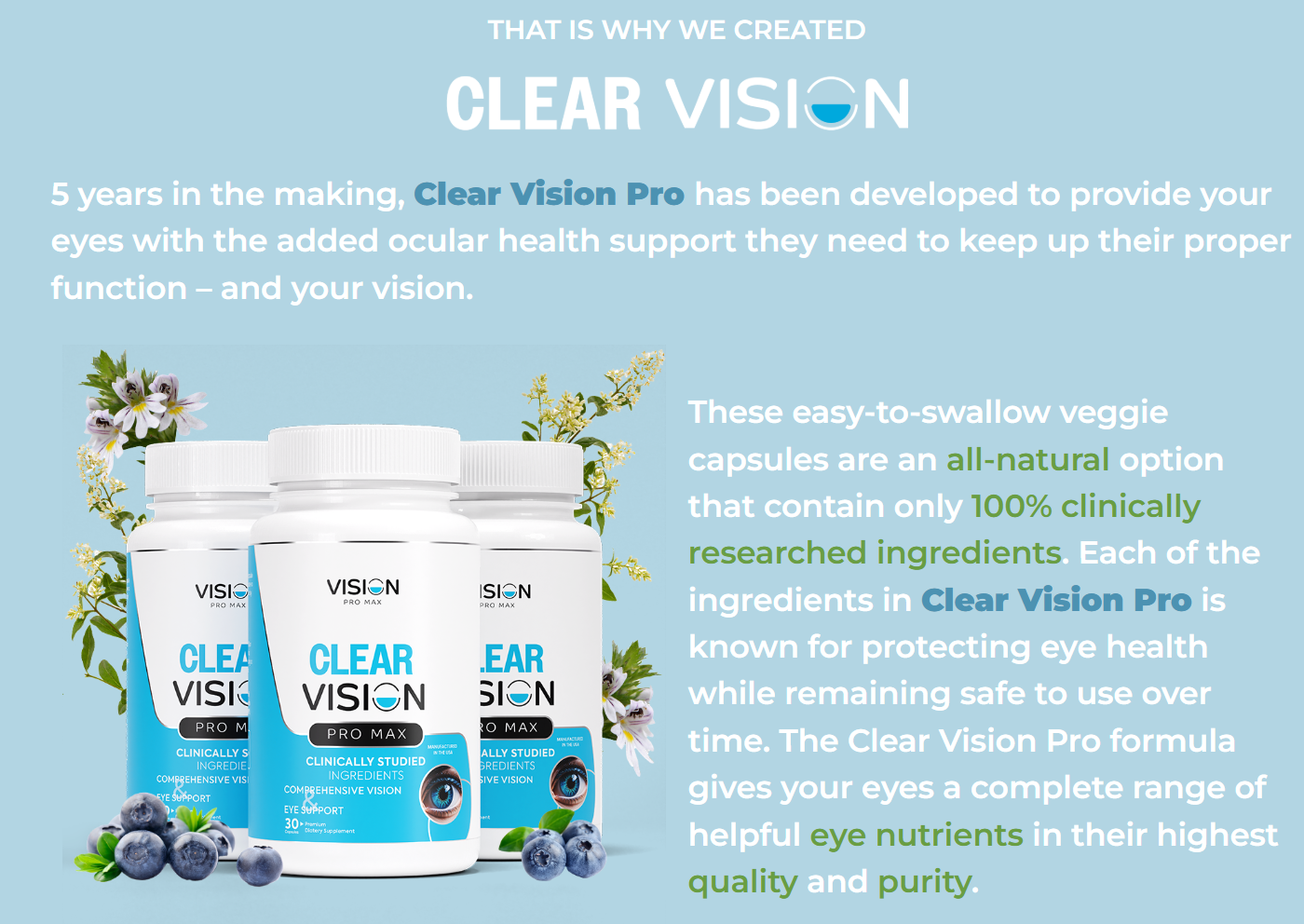 Clear Vision Pro Max