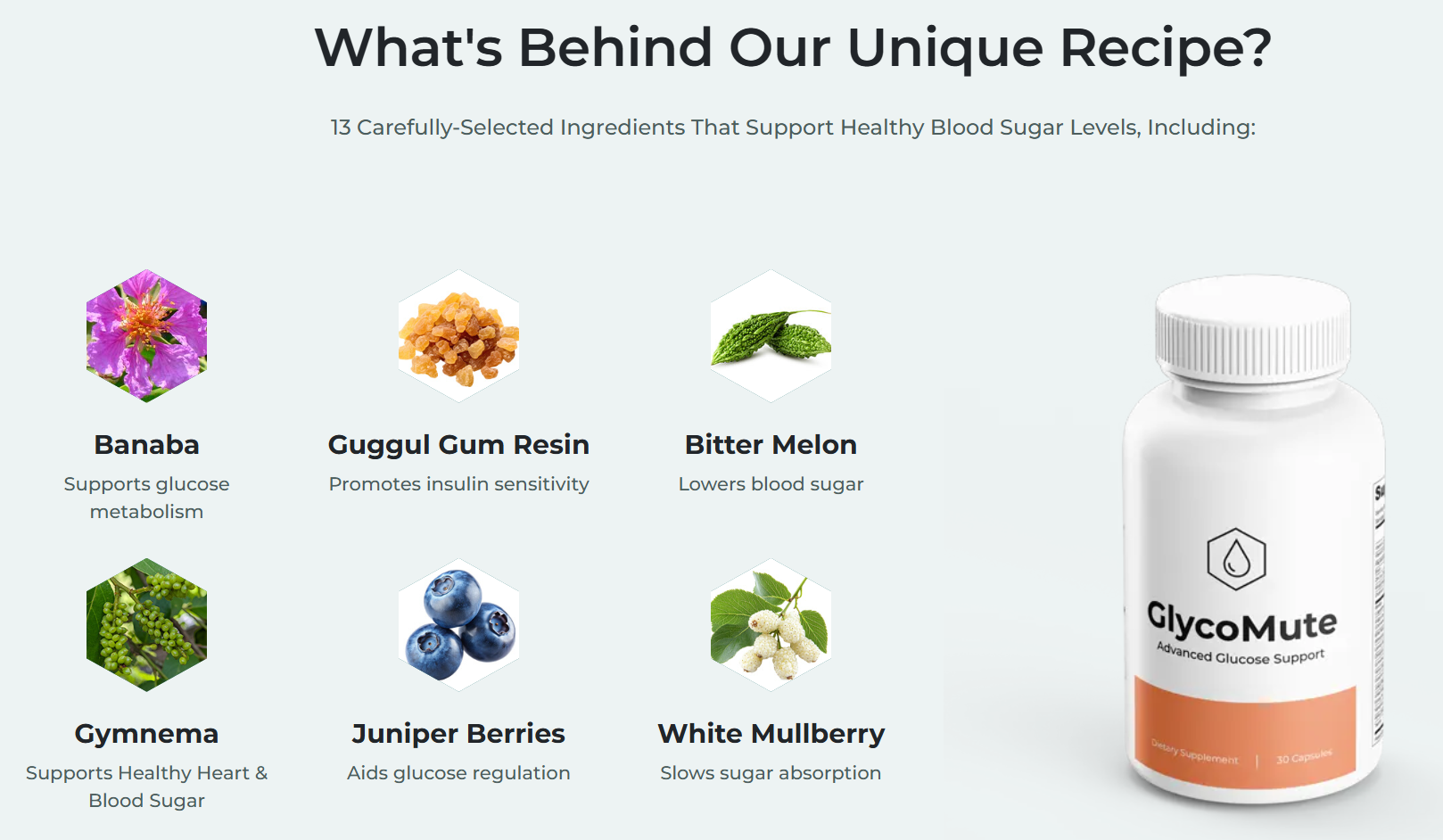 GlycoMute Blood Sugar