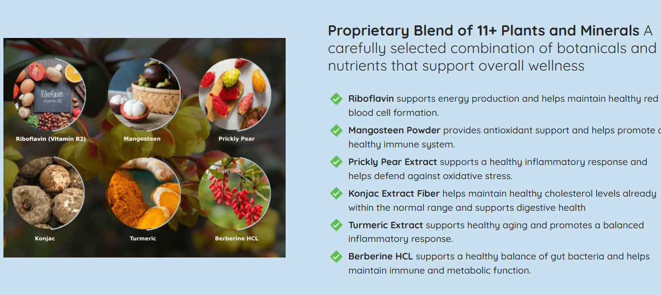 Ingnitra Weight Loss Capsules