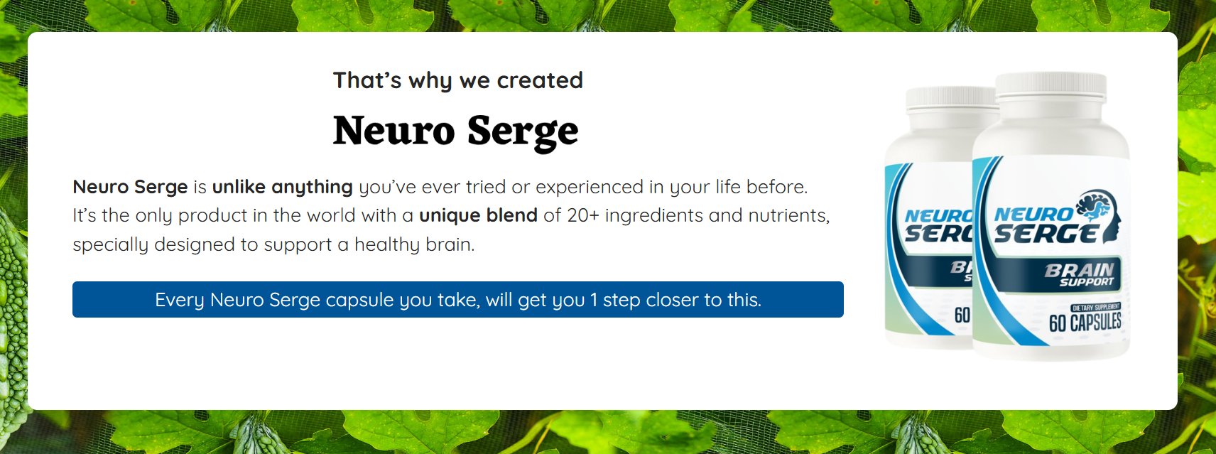 Neuro Serge Brain Booster